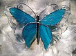 motýl bledě modrý drátky